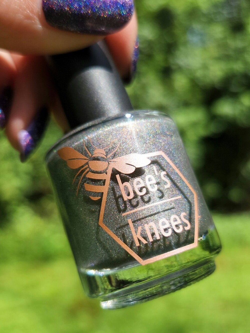 Bee's Knees Lacquer 🐝✨️ Found Foes 🧲 Magnetic Polish